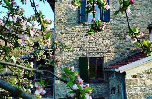 Premilcuore Bed & Breakfast | Bed and breakfast