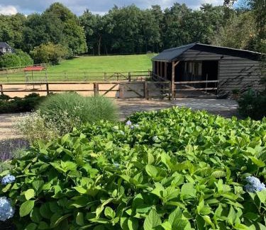 Bosgebied Hoenderloo Bed & Breakfast | Bed and Breakfast De Paalberg