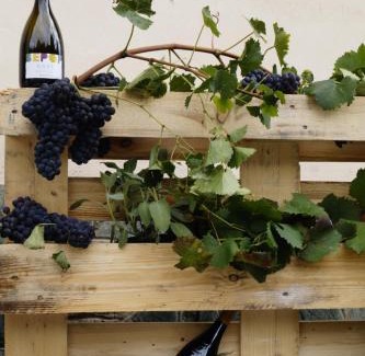 Strevi Bed & Breakfast | Bed And Breakfast Il Garoch