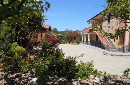 Alghero Bed & Breakfast | Bed and breakfast Le Camelie