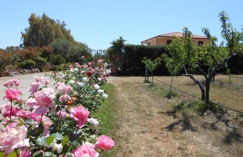 Alghero Bed & Breakfast | Bed and breakfast Le Camelie
