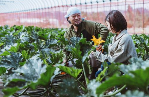 Kahoku Bed & Breakfast | Bed and Vegetable Kahoku