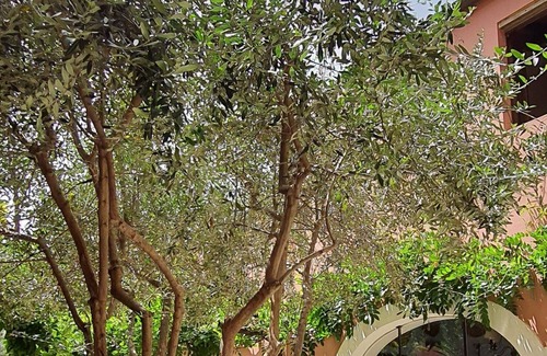 San Vito Bed & Breakfast | bed & Breakfast
