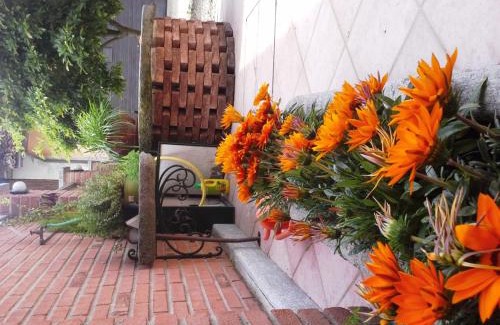 Rovina Bed & Breakfast | Bed&Breakfast La Siepe