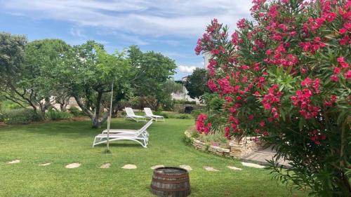 Privlaka Bed & Breakfast | Bed&Breakfast Vanni