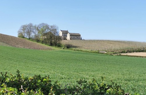 Maastricht Bed & Breakfast | Bed en Breakfast Hof van Wolder