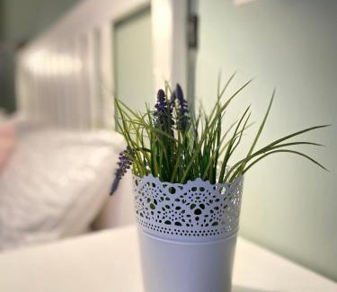 Forst an der Weinstraße Apartment | Bed n Riesling