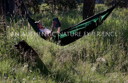 Flagg Ranch RV Rental | Bedroll and Breakfast - Campground