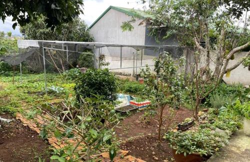 Di Linh Apartment | Bee Home Di Linh
