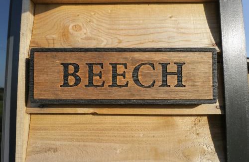 Kemble House | Beech