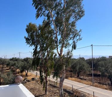 Umm Qais House | Beit Philodemus 2