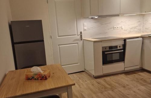 Fleury-les-Aubrais Apartment | Bel appartement cosy