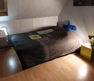 Vendenheim House | bel appartement 50 m2 aux portes de STRASBOURG de 1 à 5 personnes chez particuliers avec 2 sdb coin cuisine-repas et kitchinette Prix négociable pour 1 personne