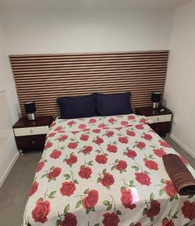 Selestat Apartment | Bel appartement F2 entièrement rénové