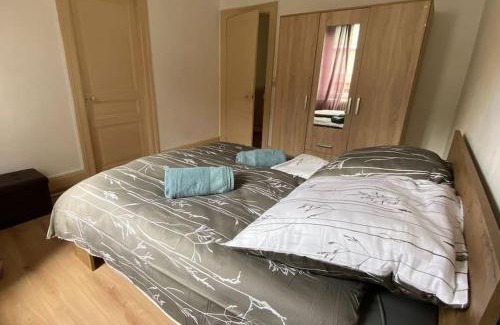Belfort Apartment | Bel appartement spacieux T4 La Citadelle de 92m2