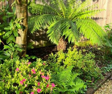 La Celle-sous-Gouzon Bed & Breakfast | Bel Ombre Cap Ferret