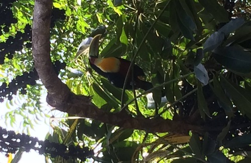 Tesouro da Colina House | Bela Ilha Guest House - Suite Feiticeira