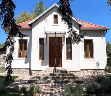 Banja Koviljaca Villa | Bela Vila
