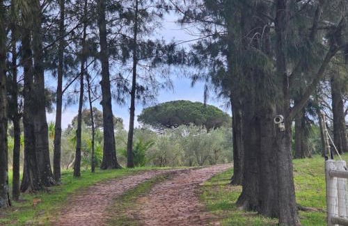 Trawal Apartment | Belcharto Accommodation