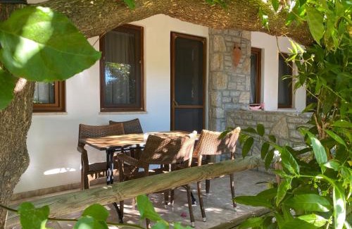 Ovabuku Apartment | Belfin Apart Ovabükü