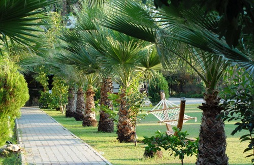 Kadriye Hotel | Belkon Hotel