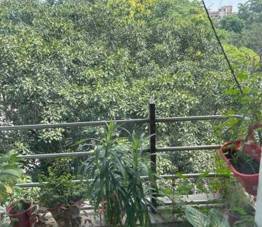 New Delhi House | Bellas Homestay