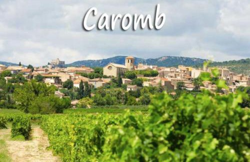 Caromb Villa | Belle maison provençale au pied du Mont Ventoux