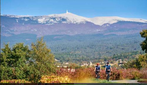 Caromb Villa | Belle maison provençale au pied du Mont Ventoux