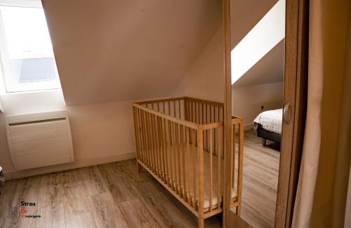 Poincare Apartment | Belles combles alsaciennes au centre de Strasbourg