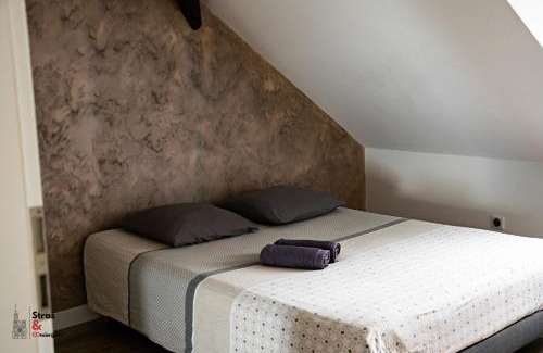 Poincare Apartment | Belles combles alsaciennes au centre de Strasbourg