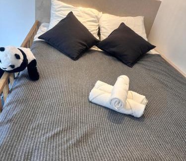 Hopital Saint-Louis Apartment | Belleville