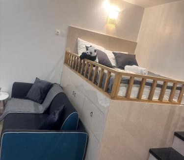 Hopital Saint-Louis Apartment | Belleville