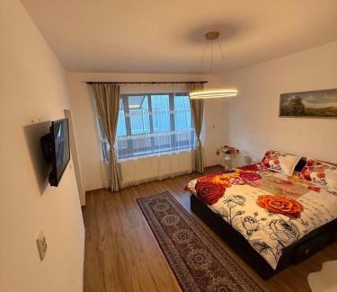 Valea lui Mihai Apartment | Bellissima Residence
