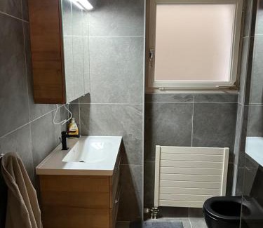 Morcote Apartment | Bellissimo appartamento con giardino sul lago di Lugano