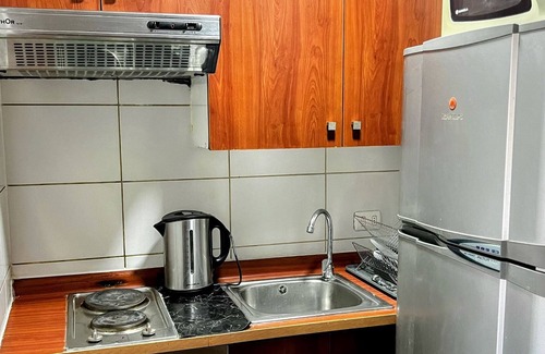 Downtown Santiago Apartment | Bello departamento cerca del Palacio de La Moneda