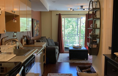 Belltown Apartment | Belltown oasis: Space Needle, MOPOP, Chihuly