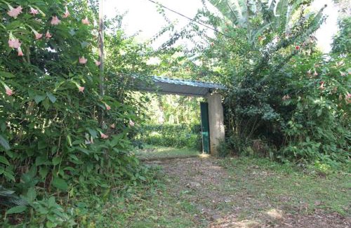 Monte Cafe House | BEMA FARM