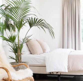 Oude Niedorp Bed & Breakfast | Ben bij Bos