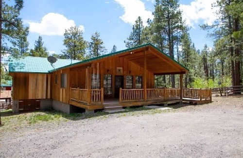Greer Cabin | Bensons Shy Acre Charming Forest Retreat