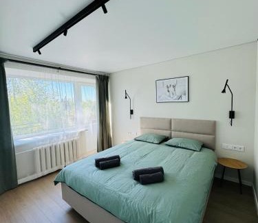 Anyksciai Apartment | Beržų apartamentai