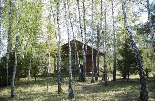 Alytus county Cabin | Beržų namelis - Birch cabin