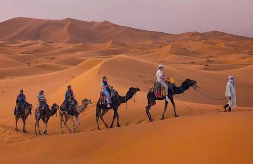 Taouz Other | Berber & Camel Trek