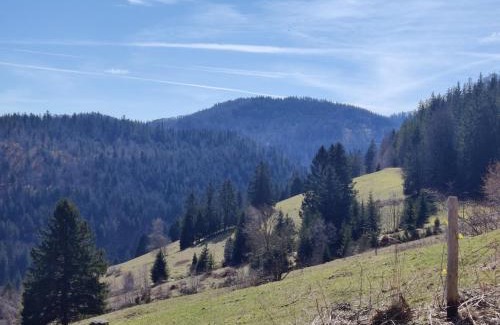 Todtnau House | Berggasthaus Präger Böden