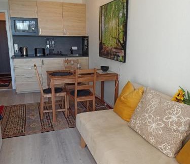 Sankt Englmar Apartment | Berghof Studio Haus Rachel mit Pool