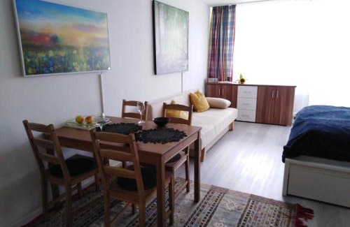 Sankt Englmar Apartment | Berghof Studio Haus Rachel mit Pool