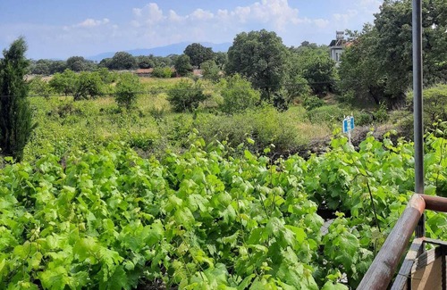 Ayvacik Bed & Breakfast | Bergos Counry Pansion