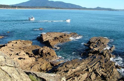 Bermagui Hotel | Bermagui Motor Inn