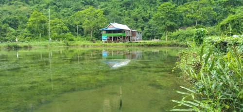 Bantimurung House | Berua homestay Rammang Rammang
