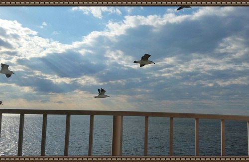 Midtown Ocean City Condo | Beside Convention Ctr, bayfront, Pool, dock, Beach/Baby Gear, Walk to beach