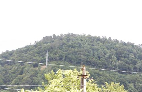Kutaisi House | Best Guesthouse